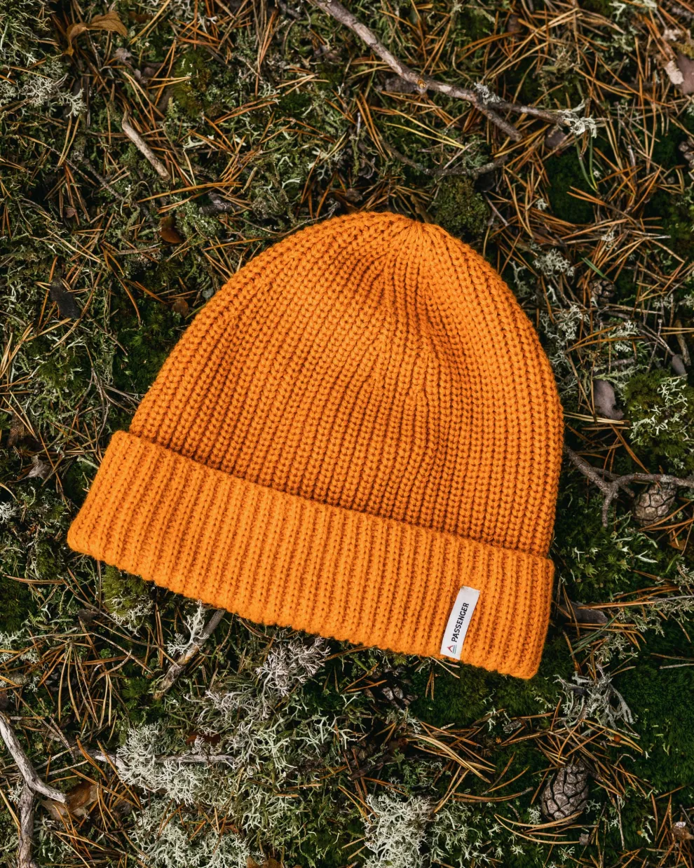 Compass Recycled 2.0 Beanie