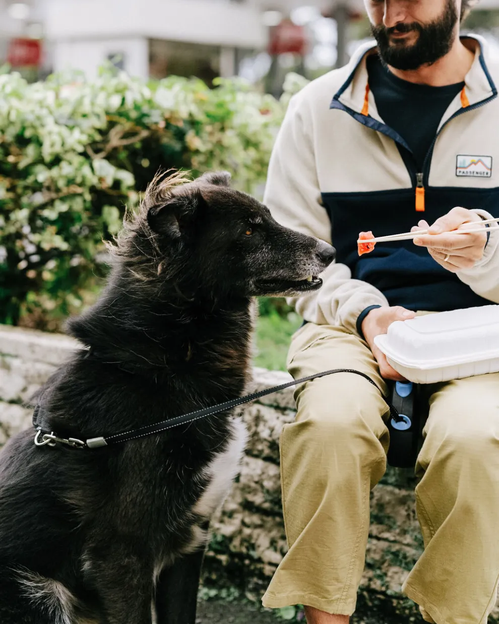 Timeless Organic Cotton Crop Pants